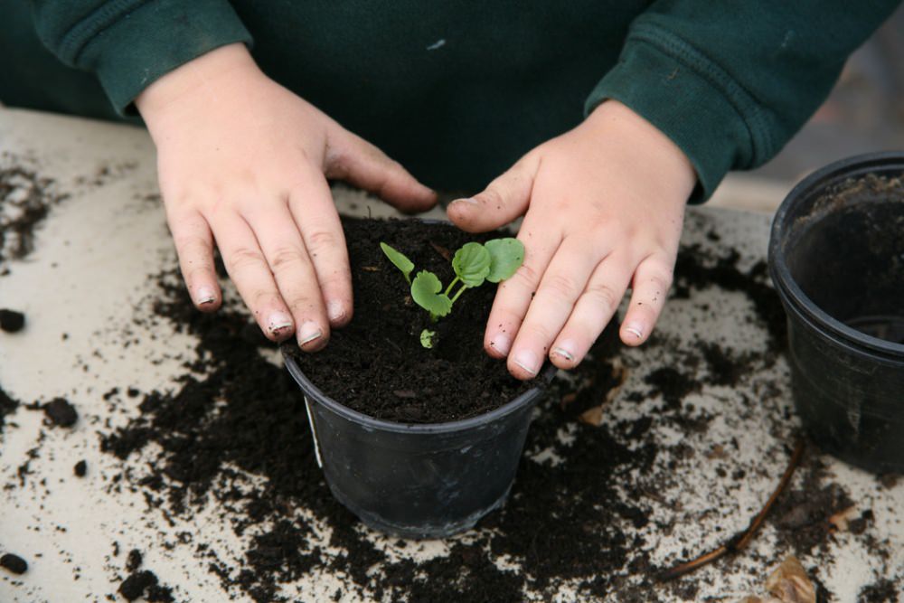 RHS Garden Wisley | Places to Visit | Countryside Classroom