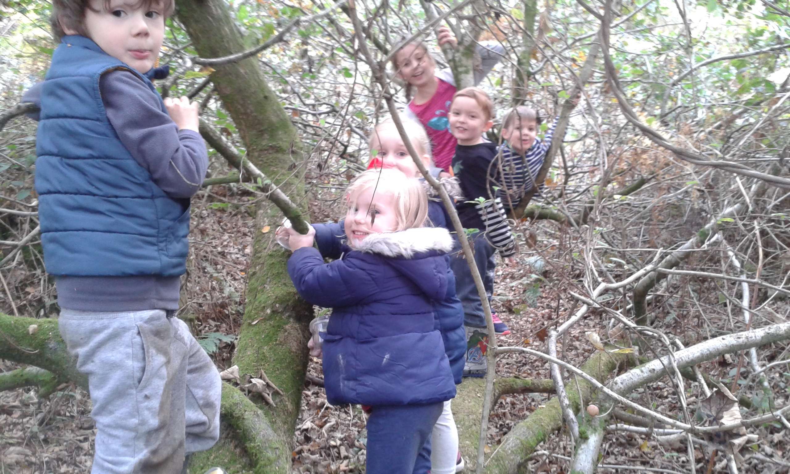 Newlands Corner with Surrey Wildlife Trust: Wild Families | Places to ...