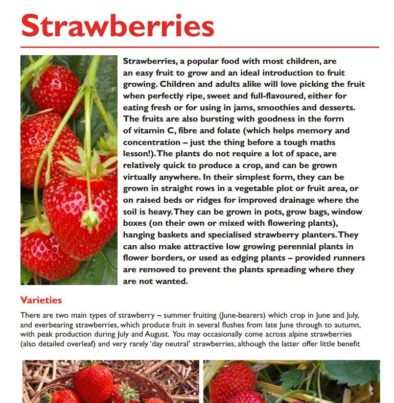 Fruit Growing Manual | Teaching Resources | Countryside Classroom